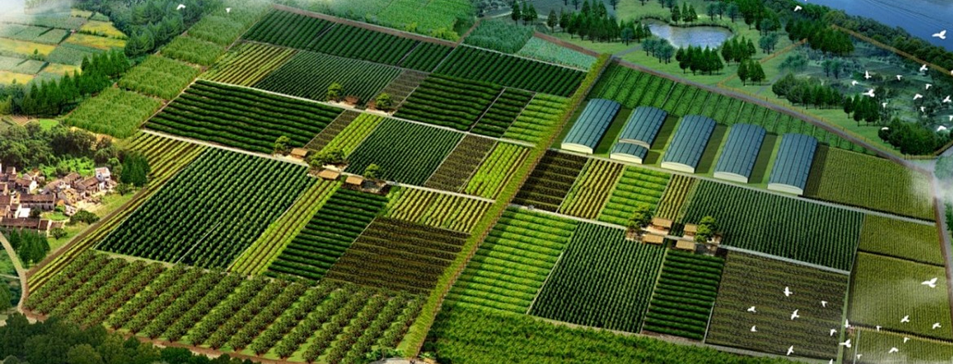 農(nóng)業(yè)園區(qū)